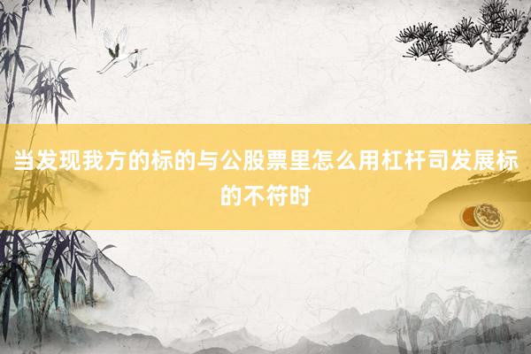 当发现我方的标的与公股票里怎么用杠杆司发展标的不符时