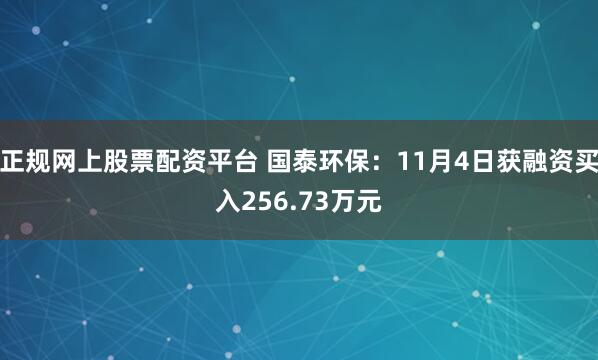 正规网上股票配资平台 国泰环保：11月4日获融资买入256.73万元