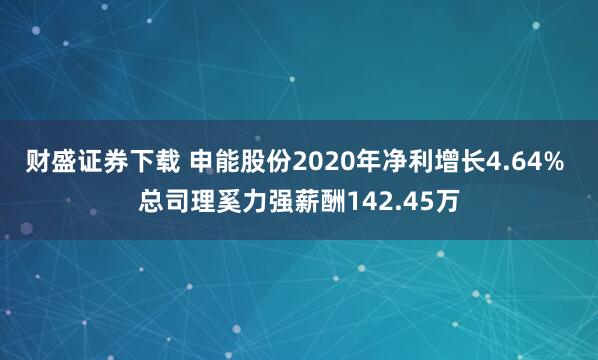 财盛证券下载 申能股份2020年净利增长4.64% 总司理奚力强薪酬142.45万