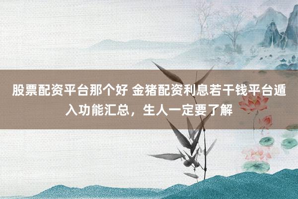 股票配资平台那个好 金猪配资利息若干钱平台遁入功能汇总,生人一定要了解